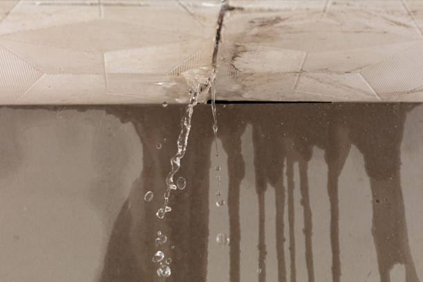 Professional Burst Pipe Cleanup technician working in DuPont, WA